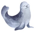 Northern seal. Watercolor illustration.