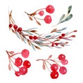 Watercolor Christmas set of green branch, leaves and berry