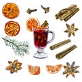 Watercolor illustration of Christmas tree branch, mulled wine and spices solated on white background