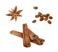 Watercolor Cinnamon, Coffee beans and Star Anice isolated on a white background. Hand drawn herb illustration.