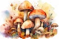 Watercolor illustration of a clearing with toxic forest fungus toadstools