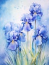 watercolor flowers background blue irises