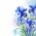 watercolor flowers background blue irises