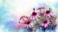 watercolor background - pink and purple cone flowers