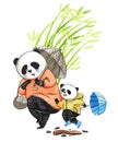 Watercolor illustration for cMother panda in pink dress going for a walk with his little son panda, who is jumping in a puddle Royalty Free Stock Photo