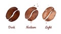 Watercolor illustration of coffee roasting levels