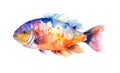 Watercolor illustration of a colorful fish Royalty Free Stock Photo