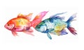 Watercolor illustration of colorful pair of fish with splashes of watercolor paint Royalty Free Stock Photo