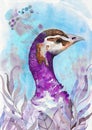 Watercolor Illustration Of Colorful Purple Peacock With Tufted And Speckled Feathers