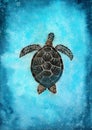 Watercolor illustration of a colorful sea turtle swimming in the blue waters Royalty Free Stock Photo