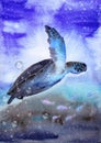 Watercolor illustration of a colorful sea turtle swimming Royalty Free Stock Photo