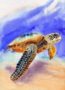 Watercolor illustration of a colorful sea turtle swimming in the vivid blue sea Royalty Free Stock Photo