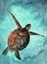 Watercolor illustration of a colorful sea turtle Royalty Free Stock Photo