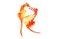 watercolor illustration of the colorful seahorse. Royalty Free Stock Photo