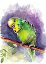 Watercolor illustration of a colorful yellow and green budgie