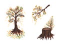 Watercolor illustration composition of a tree, stump and branches with falling autumn leaves. Isolated over white