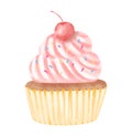 Watercolor illustration of a cupcake decorated with whipped cream and cherry isolated on white background Royalty Free Stock Photo