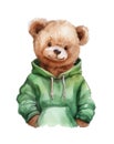 Watercolor illustration of a cute baby bear wearing a green sweetshirt. Royalty Free Stock Photo