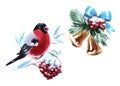 Watercolor illustration bells and Rowan Bullfinch colorful isolated object on white background for advertisement