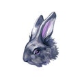 Watercolor illustration with cute bunny isolated on white background. Card for Easter Royalty Free Stock Photo