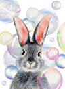 Watercolor illustration of a cute fluffy grey rabbit with pink ears Royalty Free Stock Photo