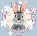 Watercolor illustration of a cute fluffy grey rabbit