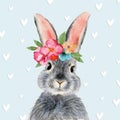 Watercolor illustration of a cute fluffy grey rabbit with pink ears Royalty Free Stock Photo