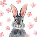 Watercolor illustration of a cute fluffy grey rabbit Royalty Free Stock Photo