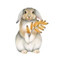 Watercolor illustration of cute fluffy grey rabbit with yellow leaf in paws on white background for nursery poster Royalty Free Stock Photo