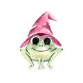 Watercolor illustration with a cute green frog in a witch hat, toad, Halloween. Royalty Free Stock Photo