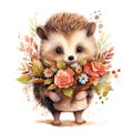 watercolor illustration of a cute hedgehog with a bouquet of flowers on a white background Royalty Free Stock Photo