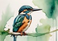 Watercolor illustration of cute kingfisher