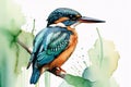 Watercolor illustration of cute kingfisher