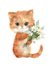 Watercolor illustration of a cute orange cat with bouquet of chamomiles.