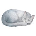 Watercolor illustration of cute sleeping gray cat isolated on white background