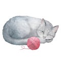 Watercolor illustration of cute sleeping gray cat isolated on white background