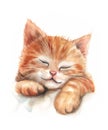 Watercolor illustration of a cute sleeping orange cat. Royalty Free Stock Photo