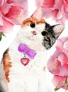 Watercolor illustration of a cute white cat with a heart pendant and a blue bow Royalty Free Stock Photo