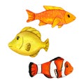 Watercolor illustration cute yellow and orange tang fish, clownfish, hand drawn on an isolated white background for kids Royalty Free Stock Photo