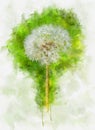 Watercolor illustration of dandelion flowers on nature background. Springtime in meadow