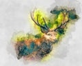 Watercolor illustration of a deer