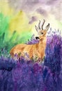 Watercolor illustration of a deer or roe deer in a meadow of blooming purple tall lavender and other wild flowers