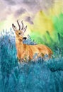 Watercolor illustration of a deer or roe deer in a meadow of blooming blue tall lavender