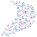 Watercolor illustration with delicate butterflies are pink, blue, flying in the stream. For the design and decoration of