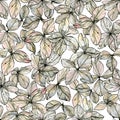 Watercolor illustration of delicate pastel, beige leaves, black-and-white sketch made by hand. Elegant dried flowers isolated on a