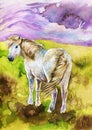 Watercolor illustration depicting a white pony in the bosom of nature in a mountainous landscape