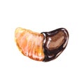 Watercolor illustration dessert mandarin lobule in chocolate Royalty Free Stock Photo