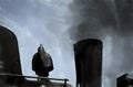 Detailed view of a black historic steam locomotive blowing black Royalty Free Stock Photo