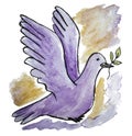 Watercolor illustration of a dove with a olive twig in its beak, isolated on white background. Purple and gold drawing of a flying Royalty Free Stock Photo