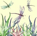 Watercolor illustration. Dragonfly flies on the background of greenery, grass. Abstract green, yellow paint splash. Stylish drawin